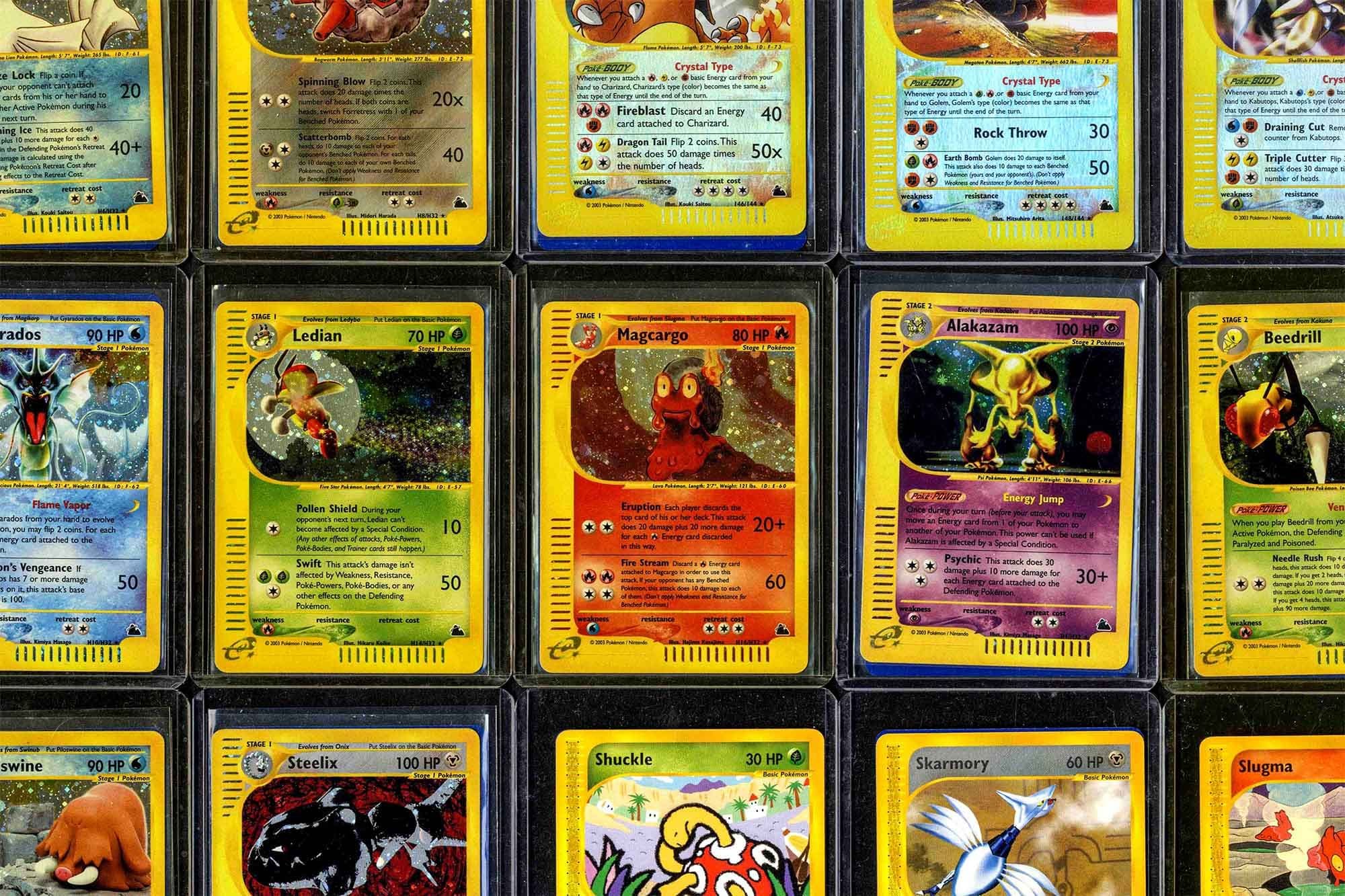 Pokémon TCG Skyridge Master Set 