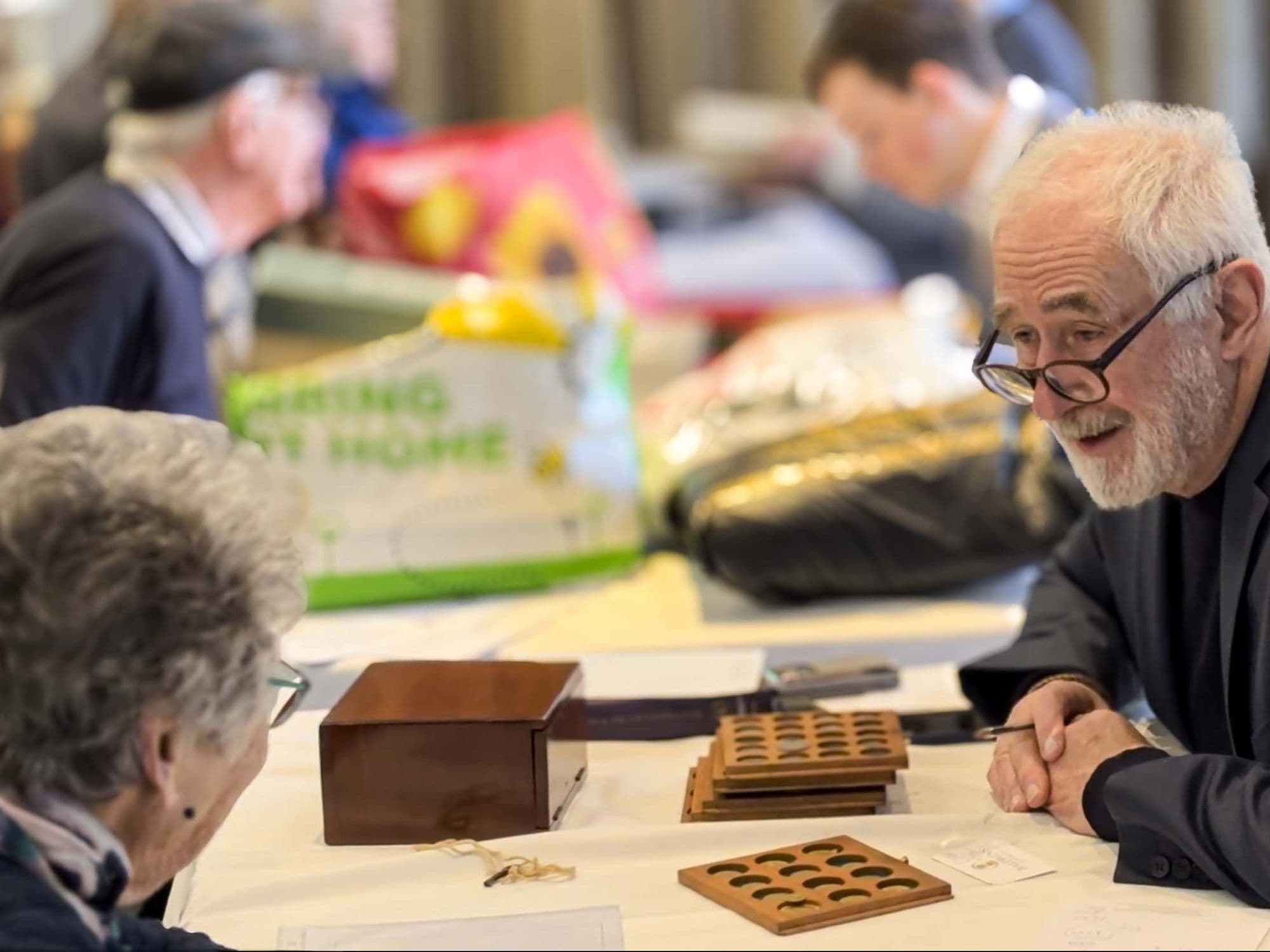 SGB Valuation Days Coins