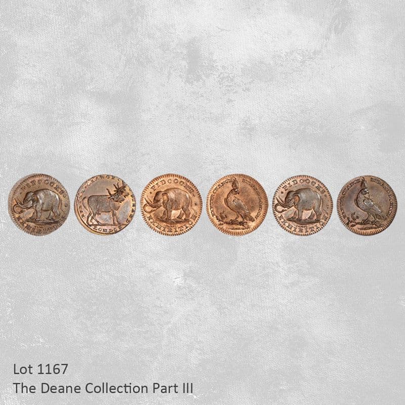 An Elephant and the Menagerie